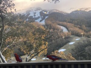 Sydney to Snowy Mountains Removalists